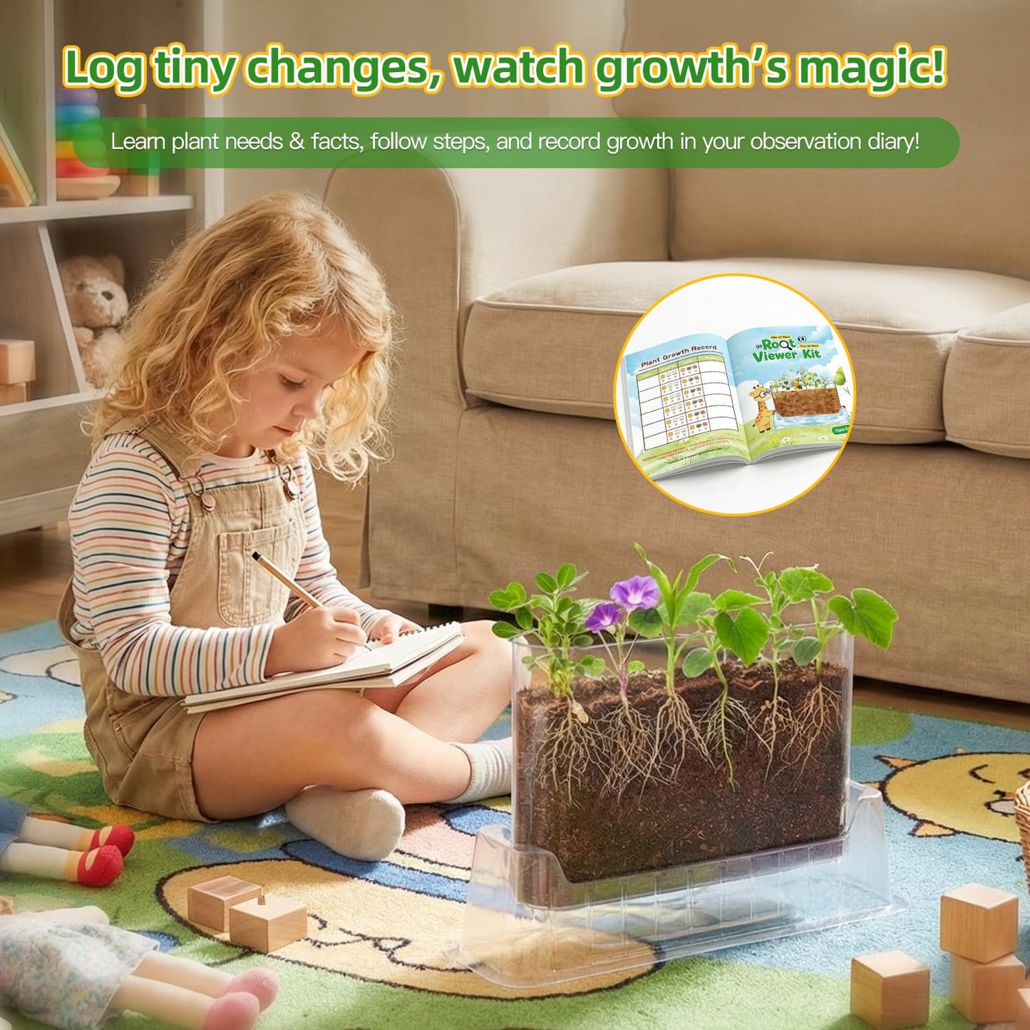 TitaniX Root Viewer Kit for Kids with 6 Seed Varieties, STEM Science Toy & Craft Growing Kits for Boys & Girls, Grow Your Own Plant for Ages 4-8 Birthday Gifts for Boy,4, 5, 6, 7, 8, Year Old