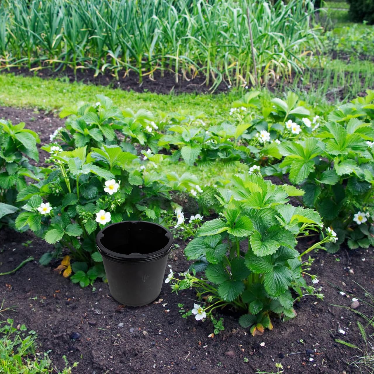 Sosoport Garden Plant Pot Potato Planter Plant Grow Bucket Tomato Groeing Pot with Drainage Hole for Vegetables Fruits Flowers