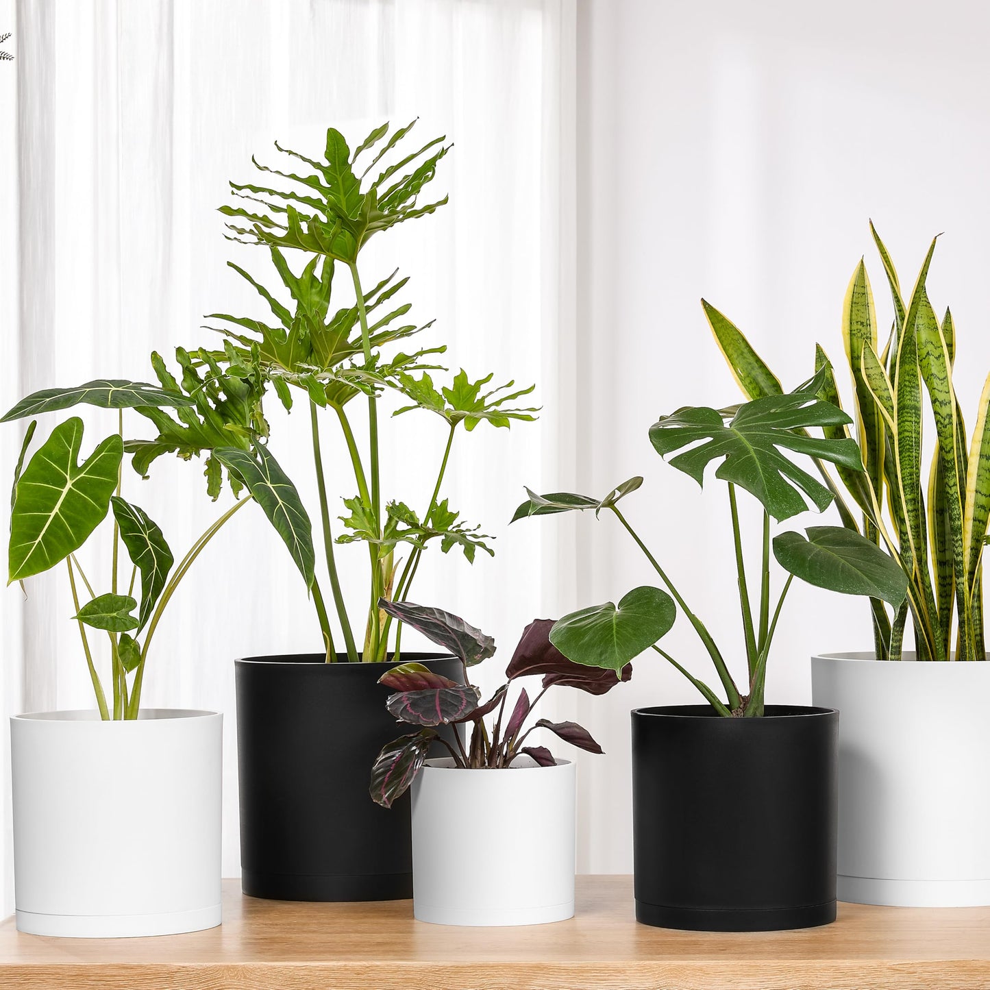 FaithLand 12-Inch Large Modern Cylinder Planter, Thick-Walled Plastic Plant Pot with Drainage Holes and Detachable Saucer, Matte White, Ideal for Indoor & Outdoor Plants Flowers
