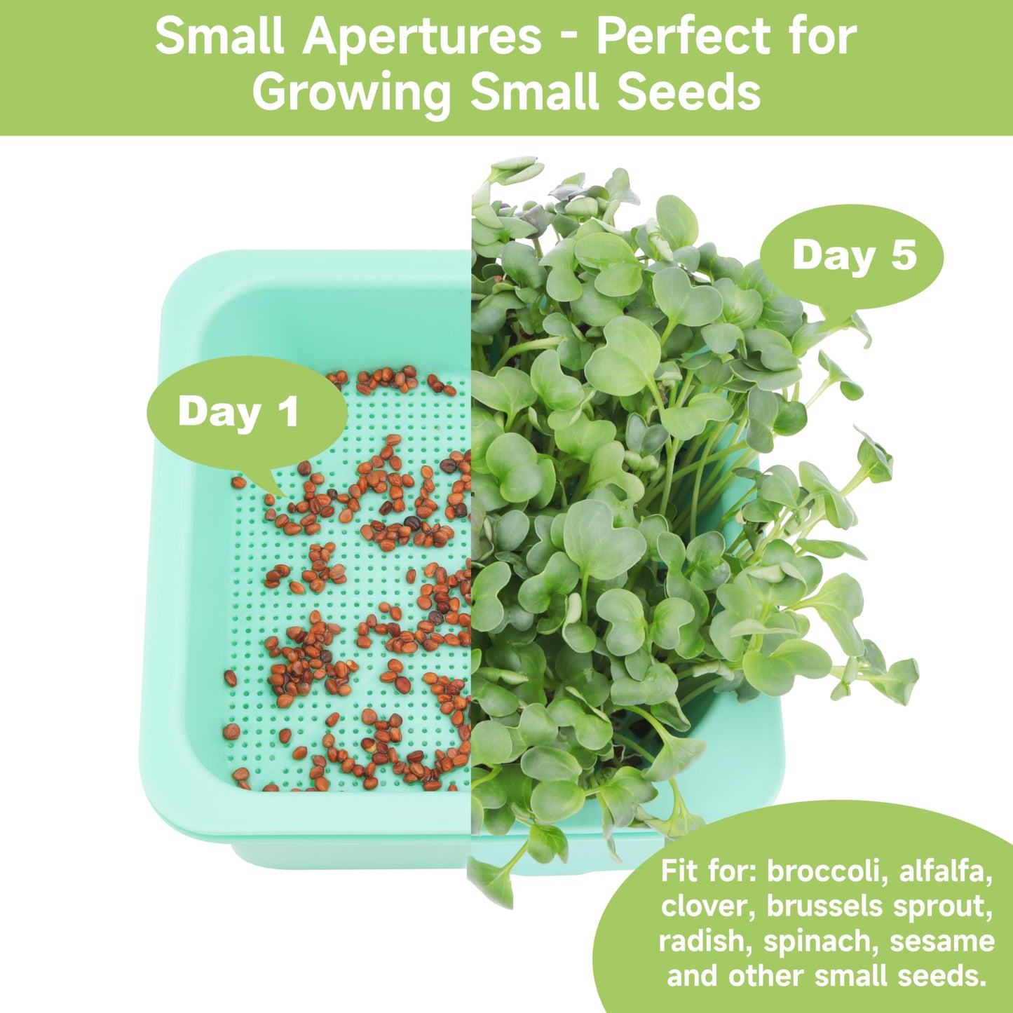Microgreen Growing Trays, 5" x 5" Sprouting Tray with Humidity Dome, 1.2 mm Small Mesh Holes, BPA Free, Sprouter Kit for Growing Mirco Seeds, Like Broccoli, Alfalfa, Radish, Clover - 6 Pack | Colorful