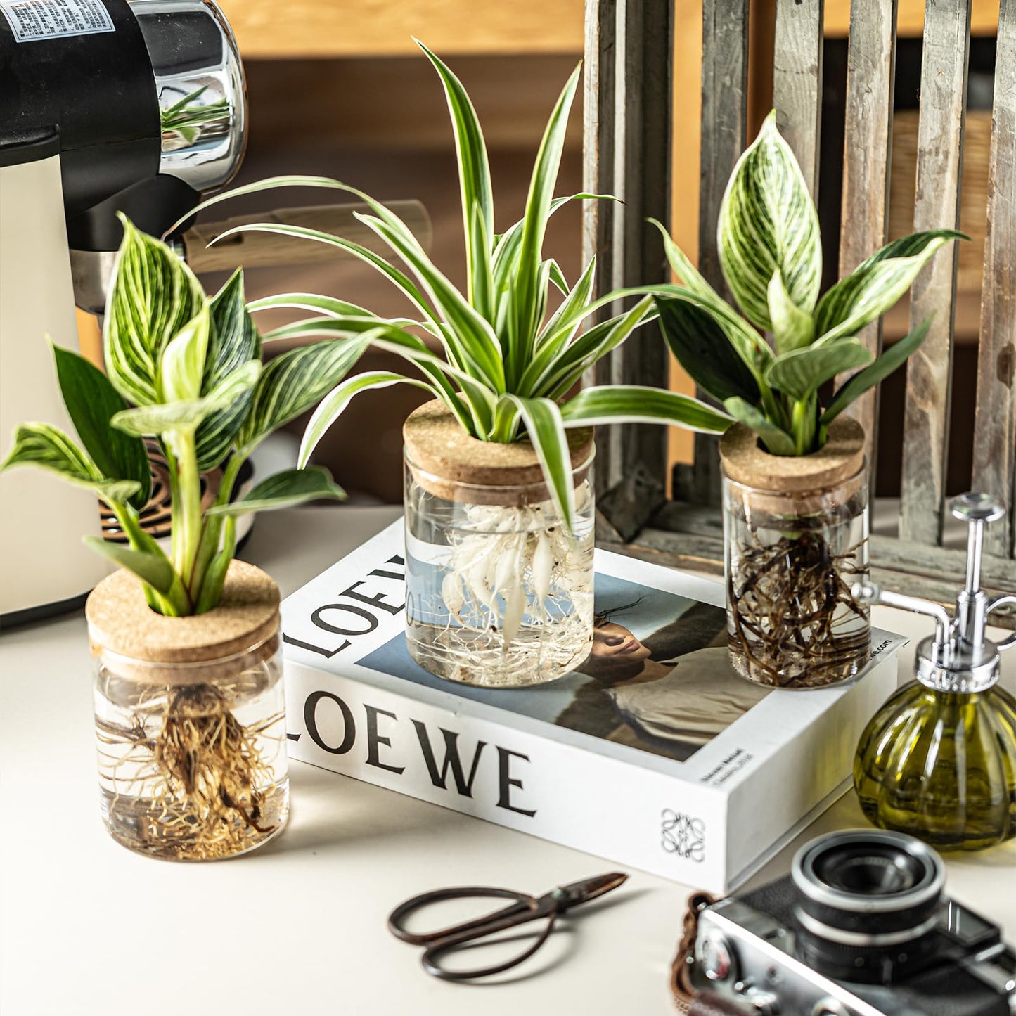 CHPINDAM Glass Propagation Stations for Plants -Desktop Flower Vases,Propagation Flower Vases Set – 2 Large & 2 Small for Plant Cuttings，for Living Room, Bedroom Decoration,Home,Office Decor (4)