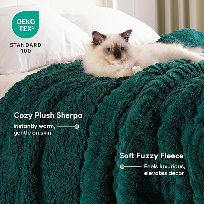 Cottonblue Jacquard Weighted Blanket for Adults 15 lbs Queen Size, Cozy Fluffy Sherpa Fleece Weighted Throw Blankets 60" x 80" for Sleep Relax, Fuzzy Warm Arch Heavy Blanket Soft for Bed Couch, Green