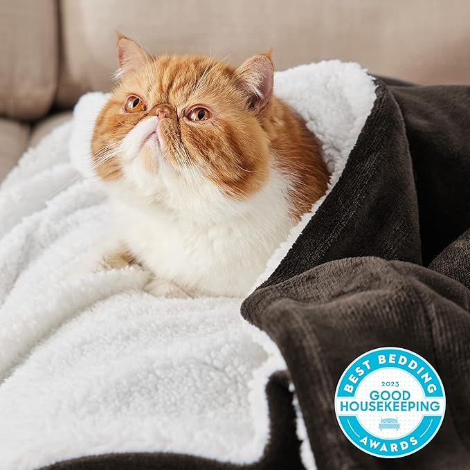 Bedsure GentleSoft Sherpa Fleece Blankets King Size for Bed - Thick and Warm Throw for Women and Men, Soft Fuzzy Plush King Blanket for Winter, Non-Heated, Brown, 108x90 Inches