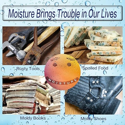 Silica Gel Packets, 5 Gram Desiccants Packs, Moisture Absorbers, Food Grade Silica Gel Desiccant for Storage, Silica Packets for Moisture Control[100 Packs]