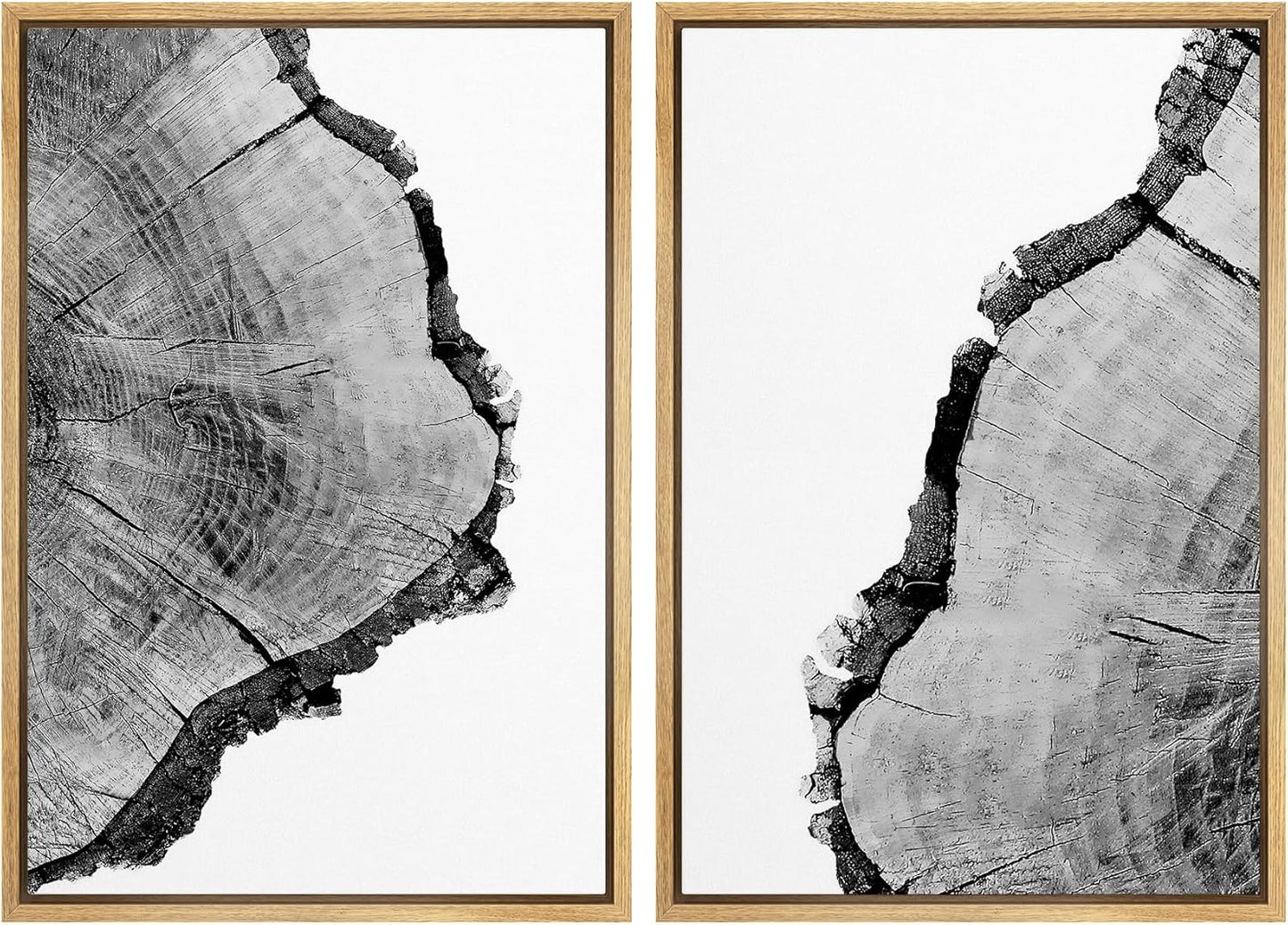 SIGNWIN Framed Wall Art Print Set Black & White Close Up Tree Ring Details Nature Wilderness Photography Modern Art Rustic Relax/Calm Multicolor for Living Room, Bedroom, Office - 16"x24"x2 Natural