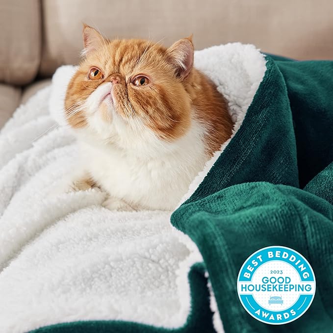 Bedsure GentleSoft Sherpa Fleece Throw Blanket for Couch - Thick and Warm Throw for Women and Men, Soft Fuzzy Plush Christmas Blanket for Winter, Non-Heated, Forest Green, 50x60 Inches