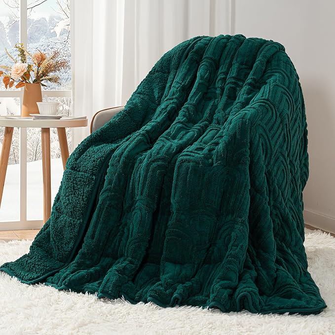 Cottonblue Jacquard Weighted Blanket for Adults 20 lbs Queen Size, Cozy Fluffy Sherpa Fleece Weighted Throw Blankets 60" x 80" for Sleep Relax, Fuzzy Warm Arch Heavy Blanket Soft for Bed Couch, Green