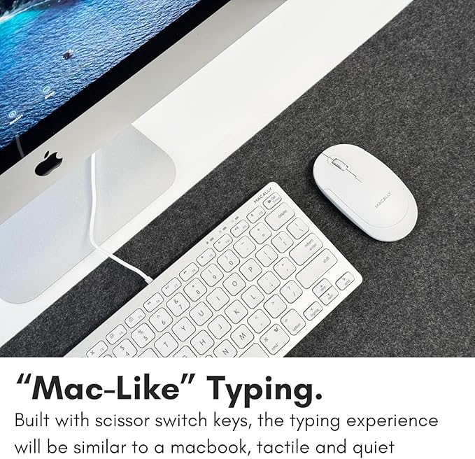 Macally Small USB C Keyboard - Plug & Play Compatible Wired Apple Keyboard for Mac mini, MacBook Pro/Air, iMac, iPad, Windows, Chromebook with USBC Port - Compact & Mini USB Type C - Silver