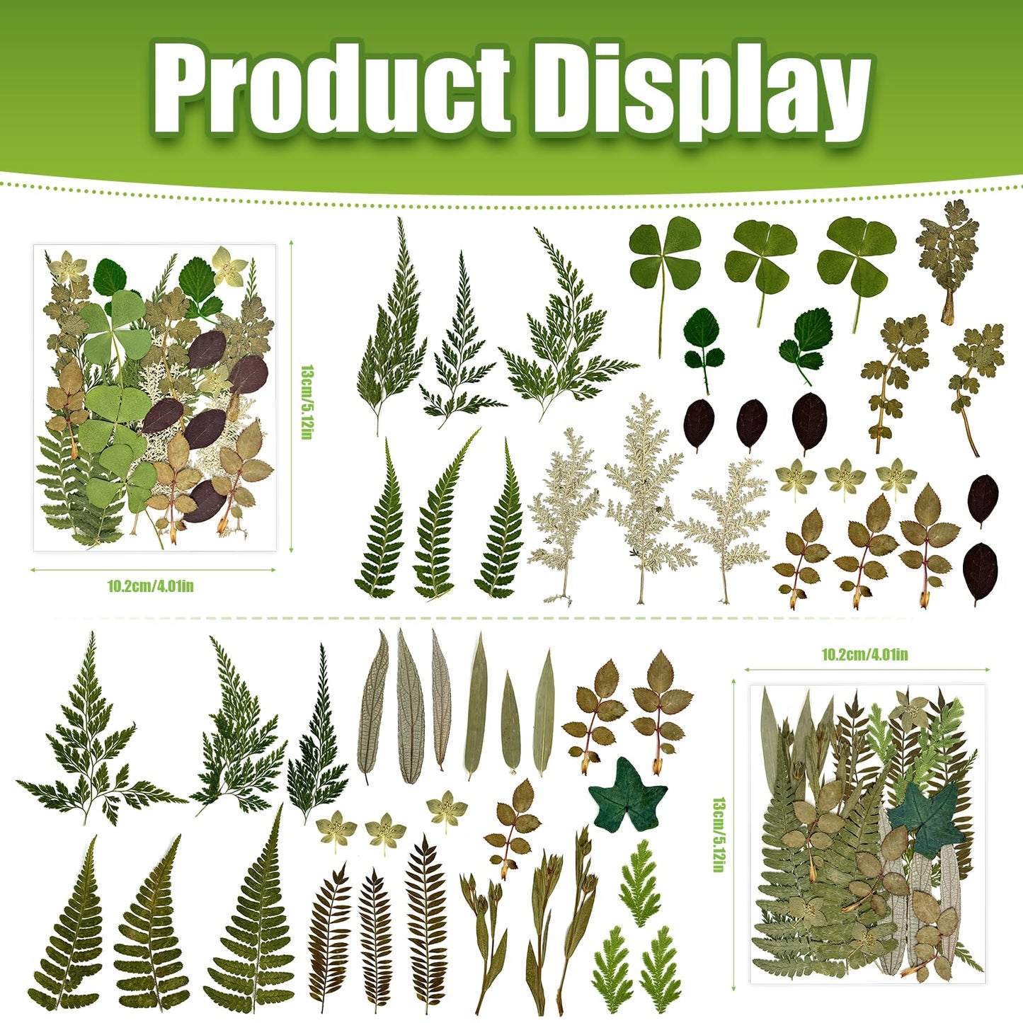 110+ Pcs Dried Flowers Leaves for Crafts, Real Pressed Flowers Dry Leaves for Resin Scrapbooking DIY Art Crafts Epoxy Resin Jewelry Mold Candle Soap Making Nails Décor