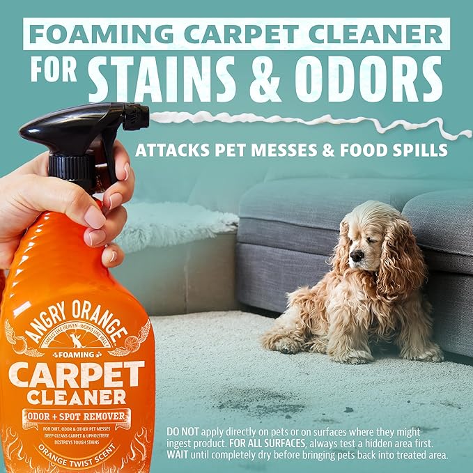 ANGRY ORANGE Foaming Carpet & Upholstery Cleaner for Dog Urine and Stains - Citrus - 24 oz