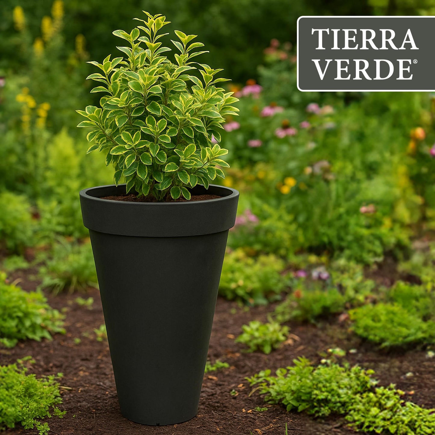Tierra Verde Indoor & Outdoor Self-Watering Tall Round Planter, Aria, 12.5" x 20", Black - Planting Containers for Plants and Flowers - Gardening and Landscaping Accessories