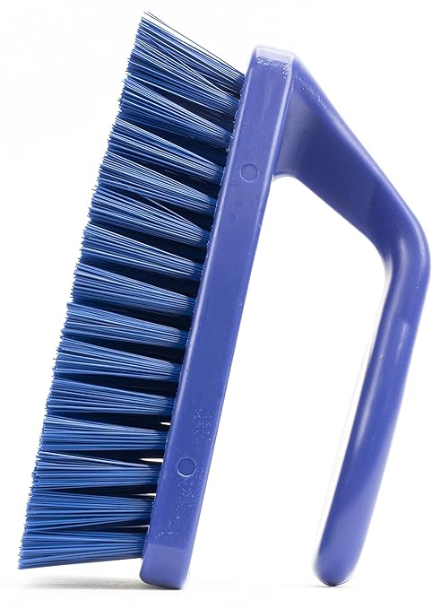 SPARTA Scrub Brush with Iron Shaped Handle and Stiff Bristles, Heavy Duty Scrubber Brush for Kitchen, Bathroom, Shower, Tile, Sink, Carpet and Bakepans, Polypropylene, 6 Inches, Blue, (Pack of 6)