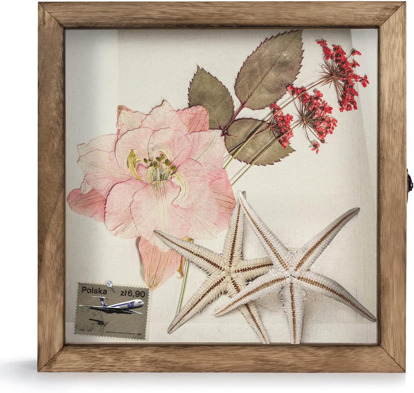 TJ.MOREE Shadow Box Display Case 12 x 12 Flowers Shadow Box Frame with Glass Window Picture Frame Wedding Bouquet Memorabilia Medals Photos Memory Box for Keepsakes - Carbonized
