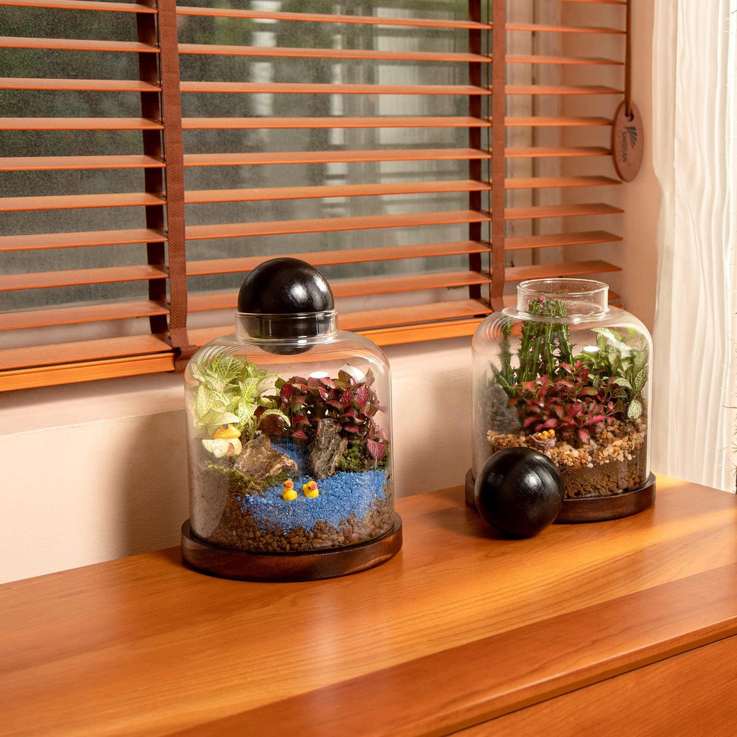 Yangbaga Large Glass Terrarium Succulent Plant Terrarium House for Plant/Moss Ball/Glass Fish Tank Mini Table with Wood Base & Ball lid Office Home Decoration