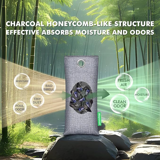 Activated Charcoal Odor Absorber, Natural Shoe Deodorizer Inserts, Smell Remover, Bamboo Charcoal Air Purifying Bags, Shoe Odor Elimination for Sneaker, Boots, 12 Pack