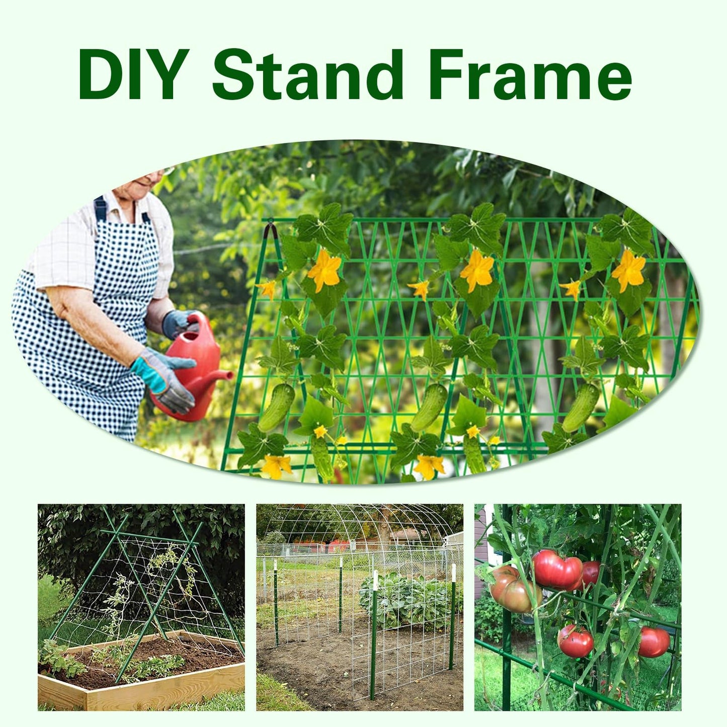 Sprigra Plant Stakes 6ft, Steel Garden Stakes 6 Feet 25 Pack, Sturdy Plant Support for Climbing Plants, Tomatoes, Beans, Cucumbers, Peppers, Flowers, Potted, Strengthen and Stem to Grow Better