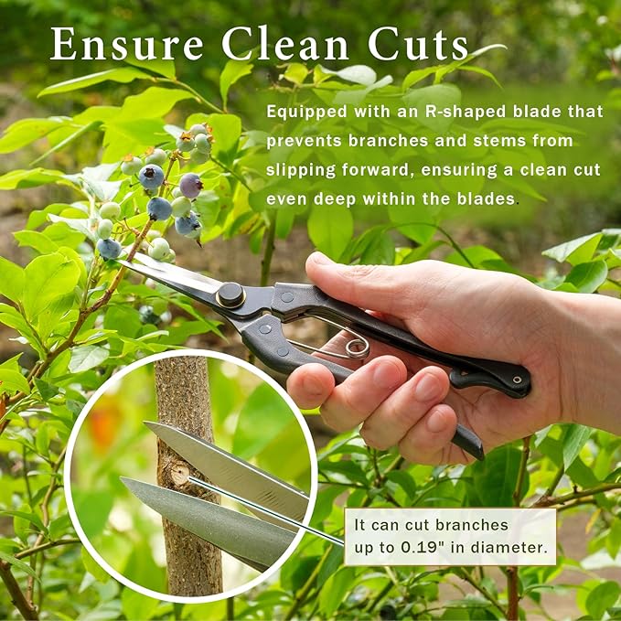 Japanese-Made Bud Cutting Pruning Shears for Gardening, Precision Hand Pruner for Live Branches & Stems, Clean Cut Pruning Scissors for Bonsai, Flowers & Plants (Double-blade)