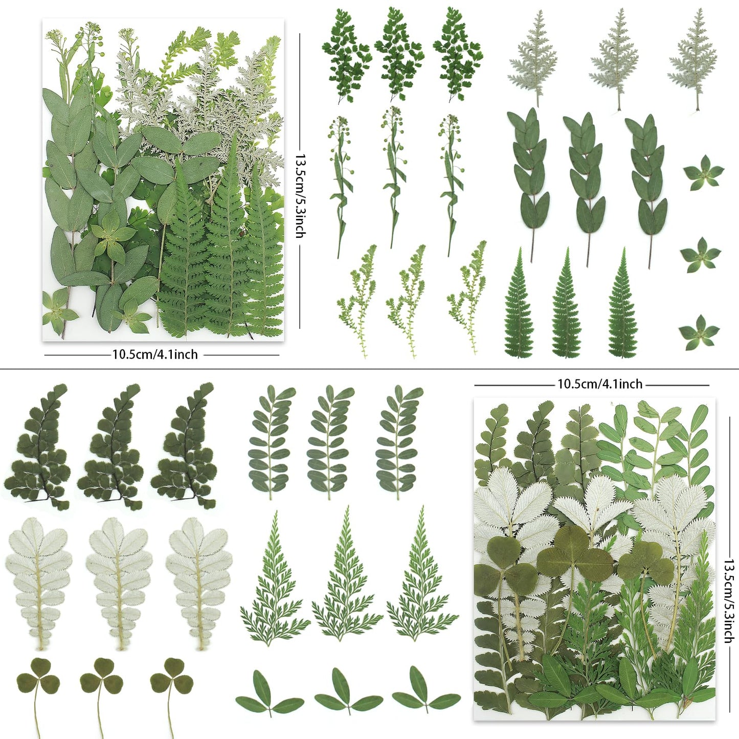LUXEEASE 84P Dried Pressed Flowers and Leaves Kit - Natural Earthy Green Leaves, Ferns & Eucalyptus for Resin Art, Scrapbooking, Soap Making, Candle Making, DIY Gifts - Tweezers Included