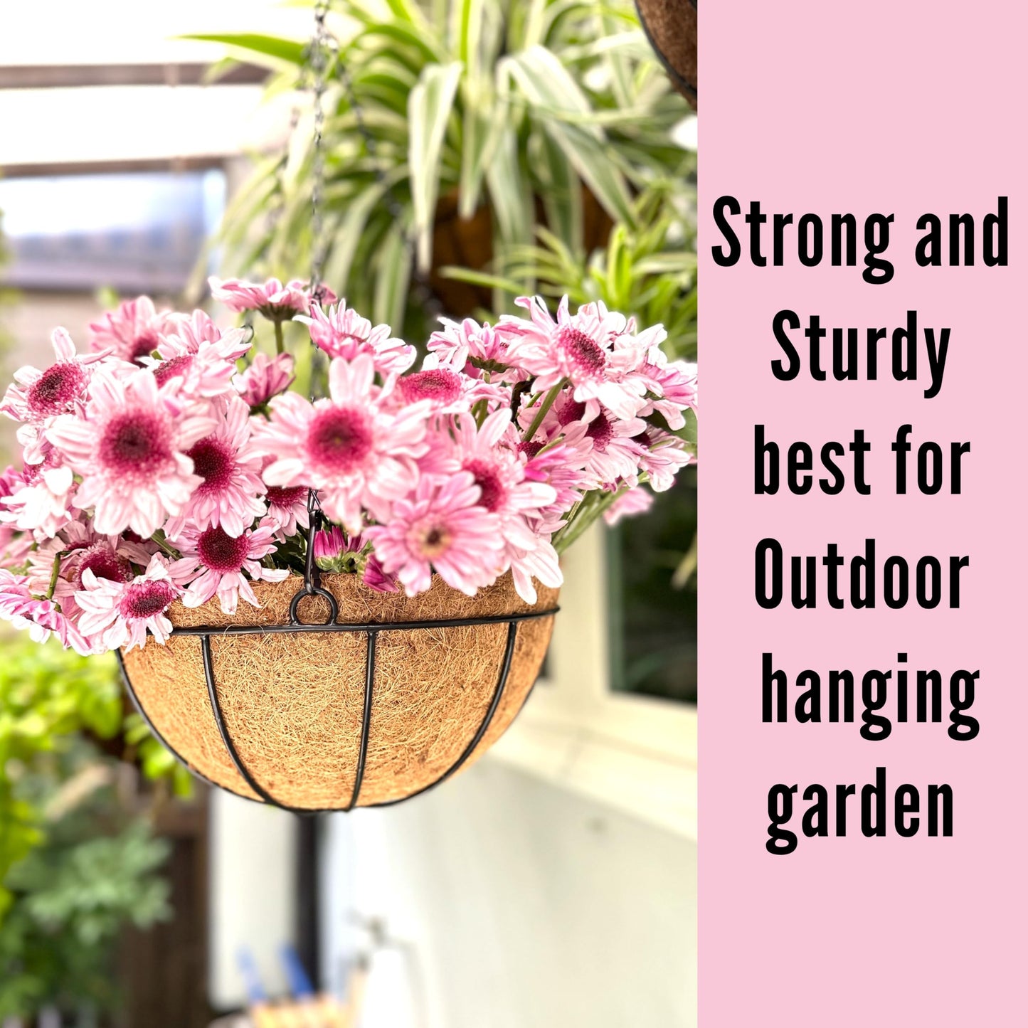 LaLaGreen Hanging Baskets for Plants (3 Pack, 10 Inch) Hanging Planter Outdoor with Coco Liner, Metal Wire Flower Basket Pots Holder Hanger Hook Deck Patio Porch Garden Balcony Outside Decoration