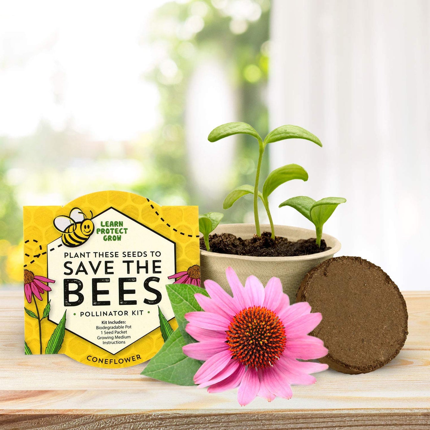 BUZZY Seeds Save The Bees Grow Kit, 12 Biodegradable Mini Flower Pots with Wildflower Seed Packets, Indoor Outdoor Planting Starter Set, DIY Gardening Gift, Sustainable Party Favors Adults