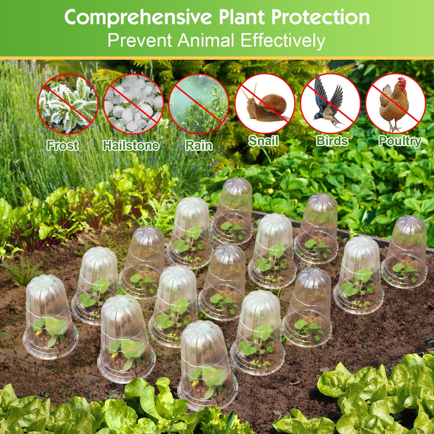 SEOIMU 10 Pcs Upgraded Transparent Garden Cloches for Plants, Reusable Plant Covers, Plant Protectors from Animals for Garden Plants, Plant Covers Freeze Protection, Compatible with Slug Collar