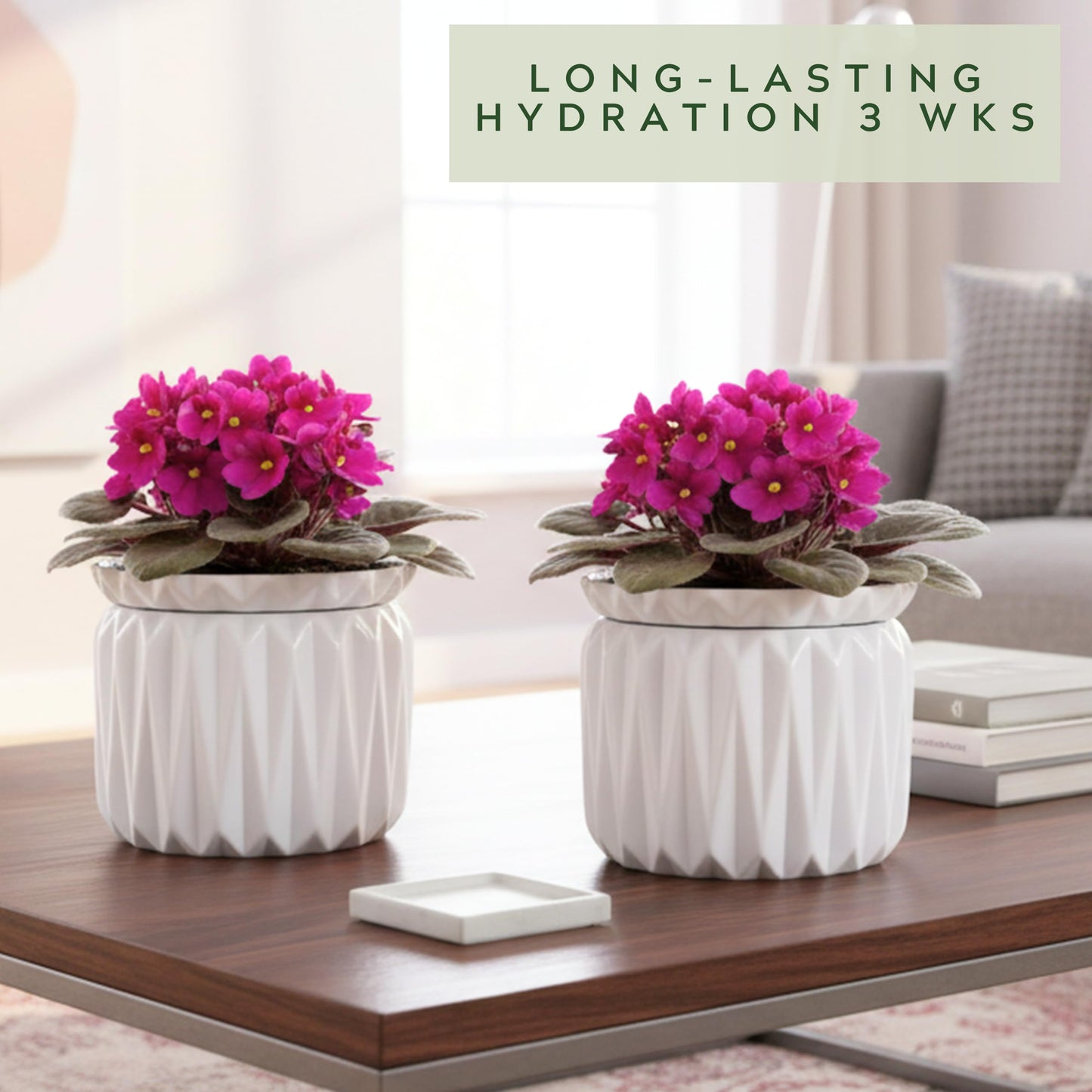 Thriving Thicket 6 Inch African Violet Pots Self Watering, Ceramic Planter with Water Reservoir and Fill Lines, 4 Inch Opening, Indoor Flower Pot, Holds 3 Weeks of Water (2 Pack White)