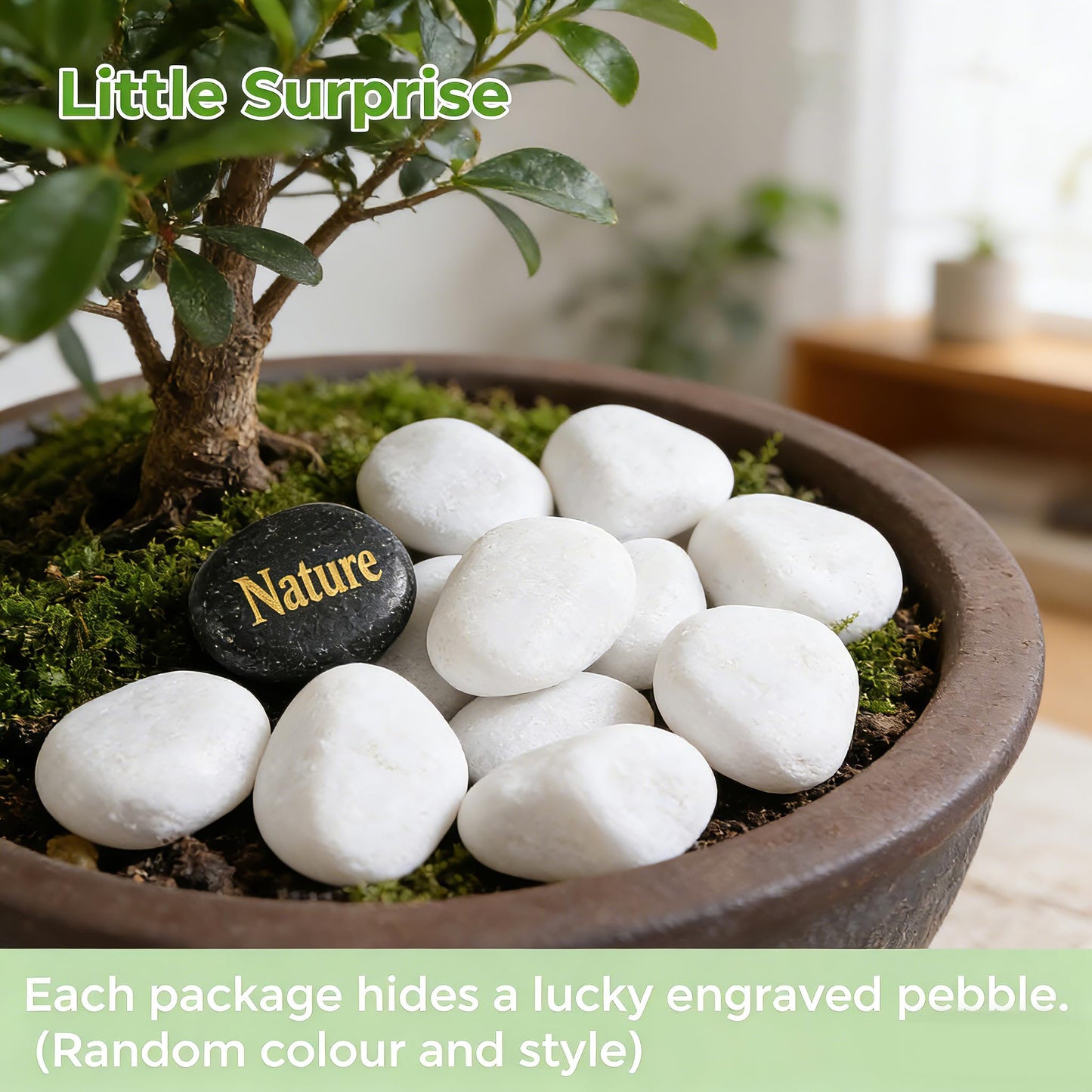 SIDONG 10 lbs White River Rocks, 1.2-2 Inches Pebbles for Indoor Plants, Aquarium Rocks Used in Fish Tank, Decorative Stones for Plants, Vases, Home Décor, Crafting, Garden Landscaping
