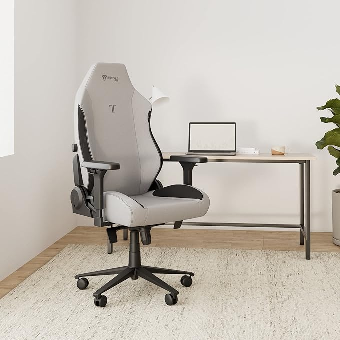 Secretlab Titan Evo Ash Gaming Chair - Reclining, Ergonomic & Comfortable Computer Chair with 4D Armrests, Magnetic Head Pillow & 4-Way Lumbar Support - Gray - Leatherette