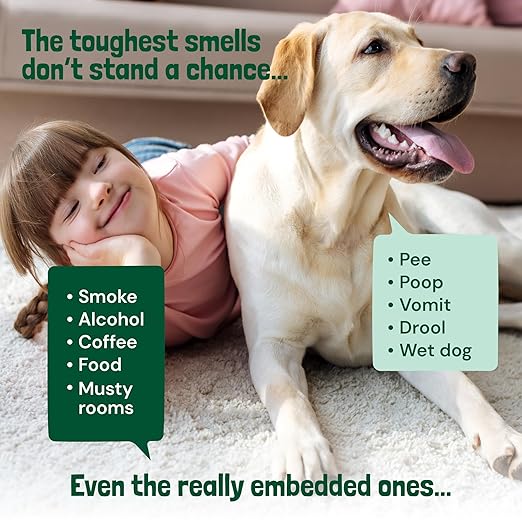 Sunny & Honey Carpet Freshener Powder - 20 oz, Summer Lemonade Scent - Dry Carpet Cleaner with No Residue - Pet & Kid Safe Upholstery Cleaner - Natural Rug Powder Formula