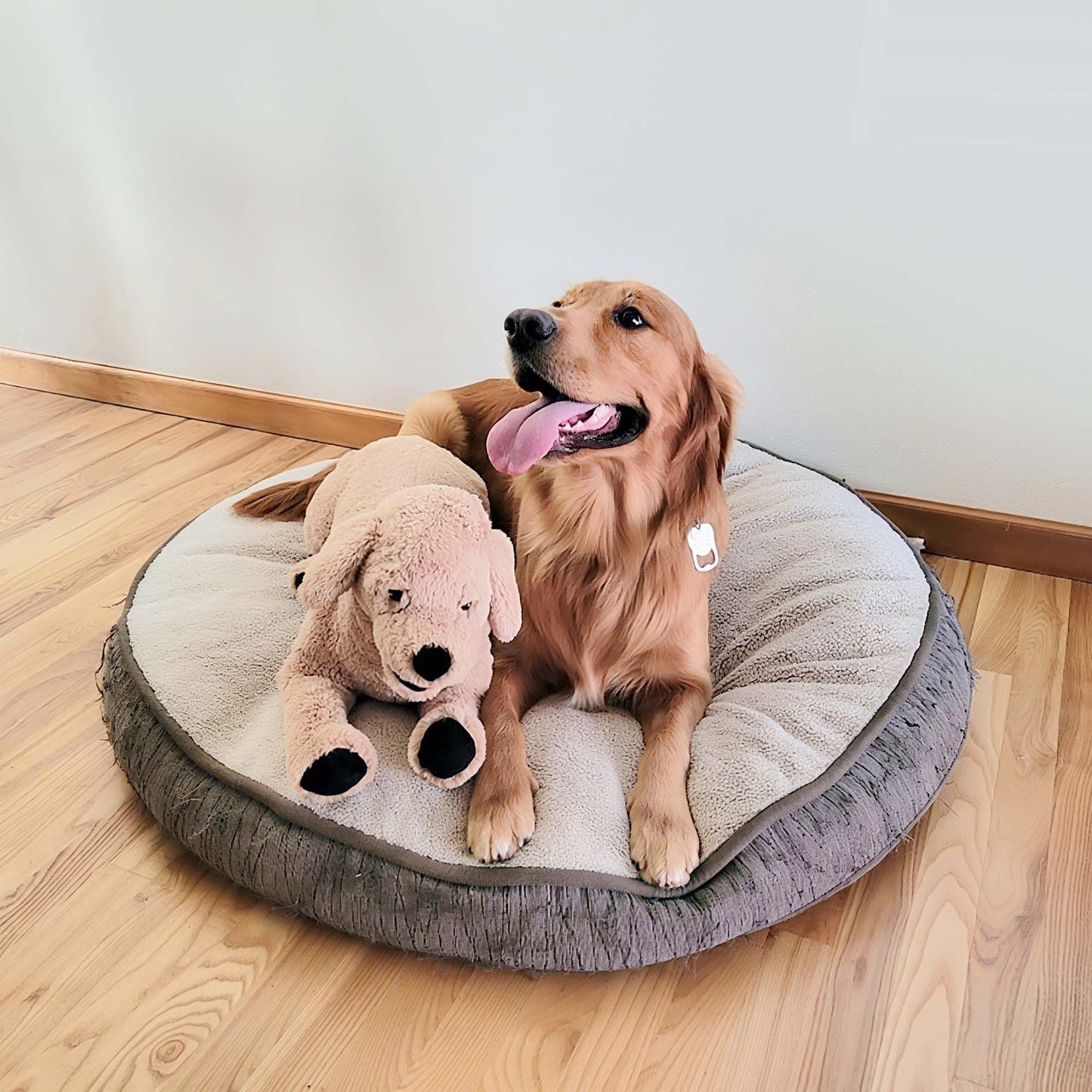 LotFancy Dog Stuffed Animals, 26'' Cuddly Golden Retriever Stuffed Animals, Dog Plush Toy, Large Stuffed Dogs for Birthday, Beige
