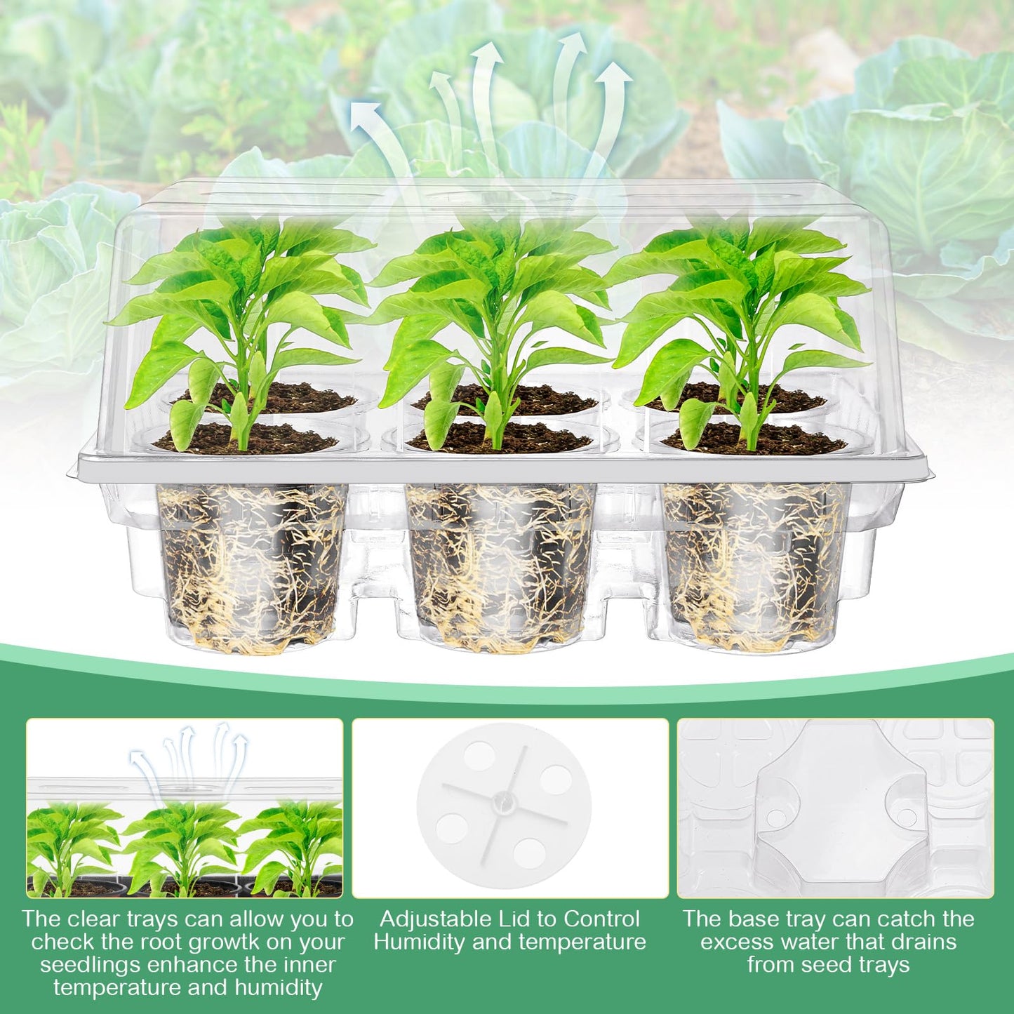 Vesici 10 Pack Seed Starter Tray Kit Seedling Starter Trays with 60 Pcs 4 Inch Nursery Pots and Humidity Dome (60 Cells) Mini Greenhouse Plant Germination with Labels for Garden(Clear)