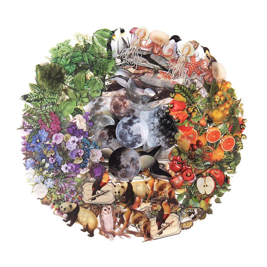 NOGAMOGA Nature Themed Transparent Pre-Cut Stickers for Scrapbooking, Pack of 240, Flora and Fauna Vintage Aesthetic Decorative Decals for Journaling Photo Album Collage Card Making Crafts