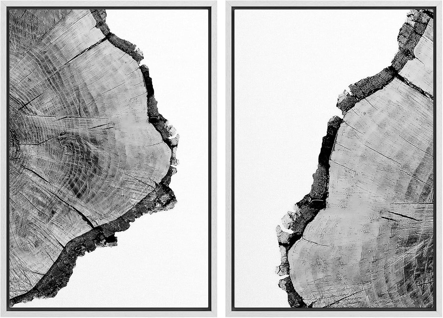 SIGNWIN Framed Wall Art Print Set Black & White Close Up Tree Ring Details Nature Wilderness Photography Modern Art Rustic Relax/Calm Multicolor for Living Room, Bedroom, Office - 24"x36"x2 White