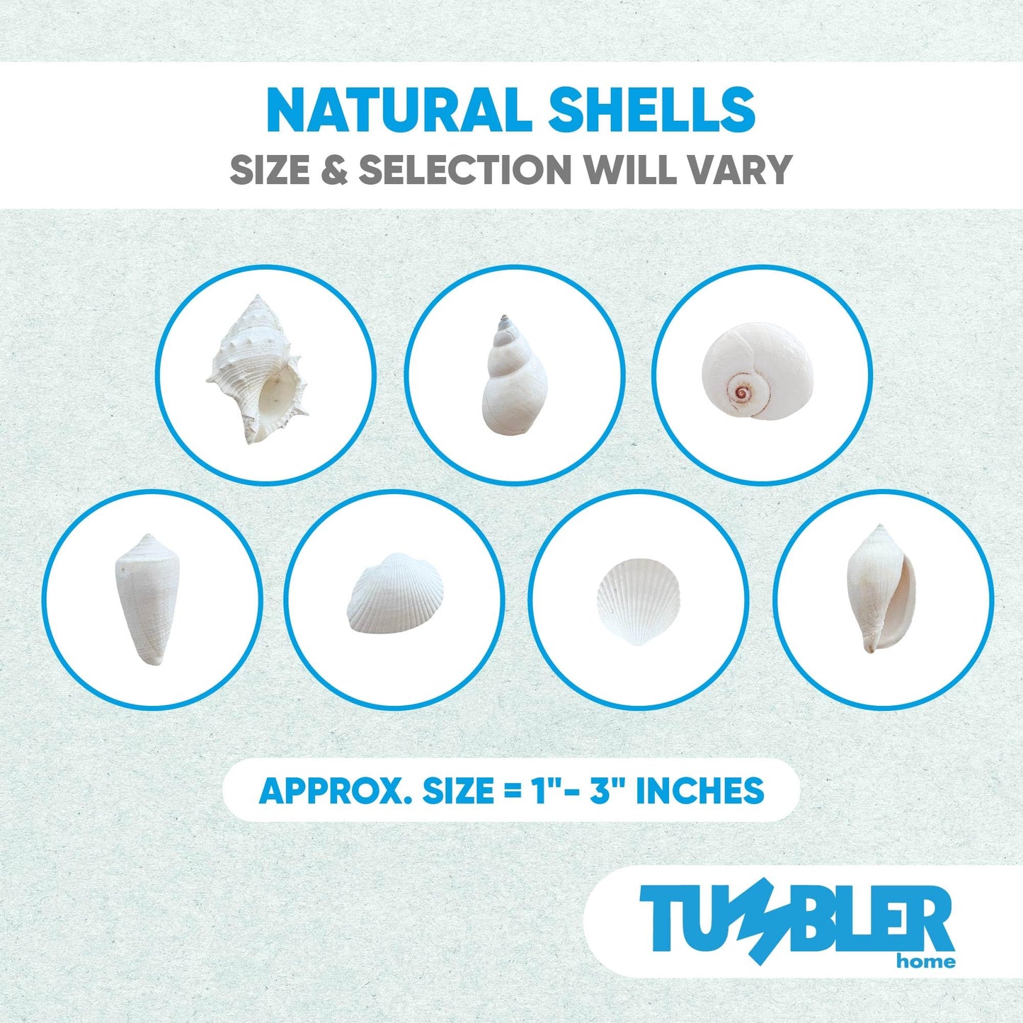 Tumbler Home White Sea Shell Mix with Aqua Sea Glass | Set Contains 1.5 lbs of Seashells and Seaglass | Beach Decor, Crafts, Wedding, Vase Filler