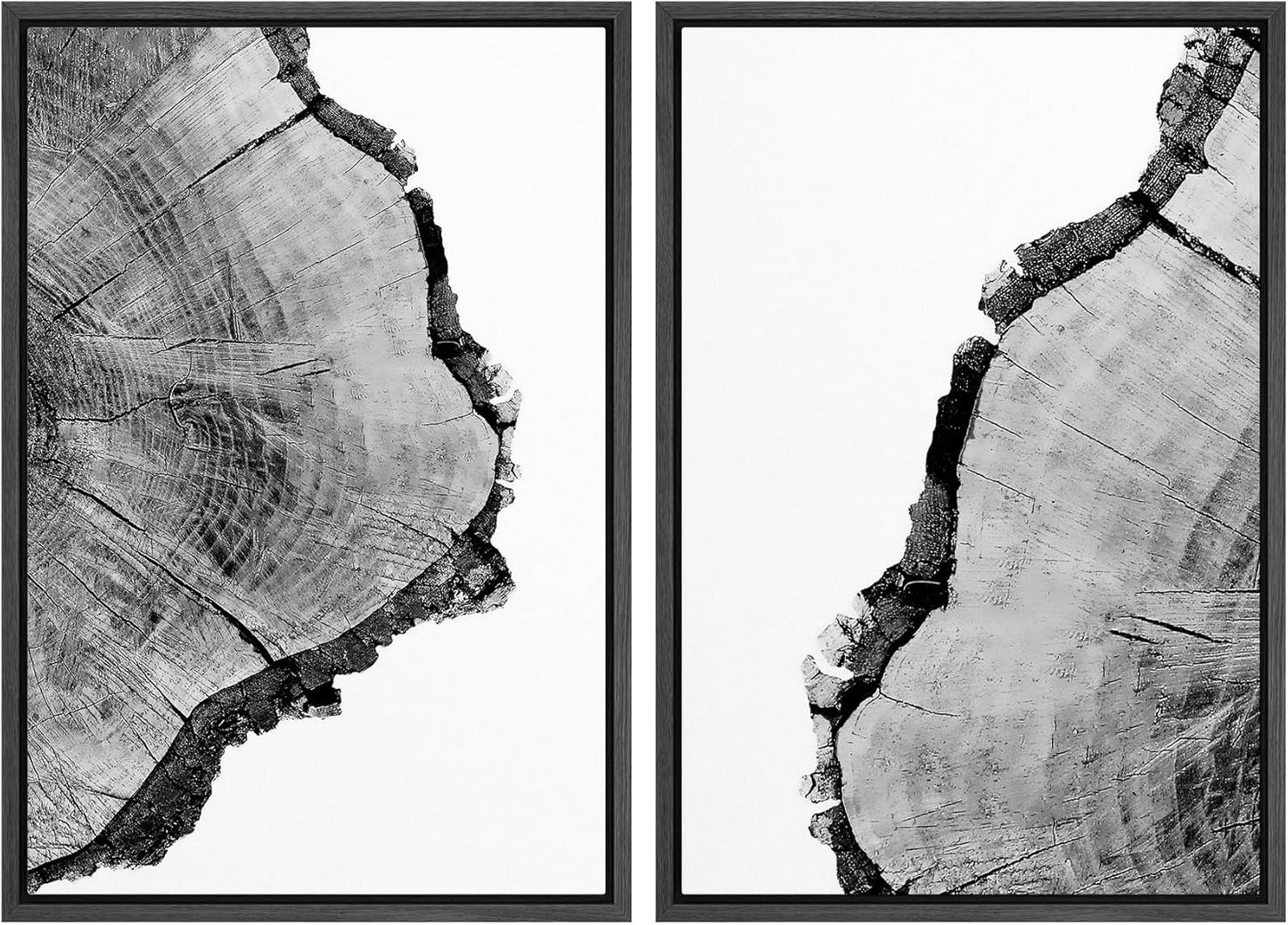 SIGNWIN Framed Wall Art Print Set Black & White Close Up Tree Ring Details Nature Wilderness Photography Modern Art Rustic Relax/Calm Multicolor for Living Room, Bedroom, Office - 16"x24"x2 Black