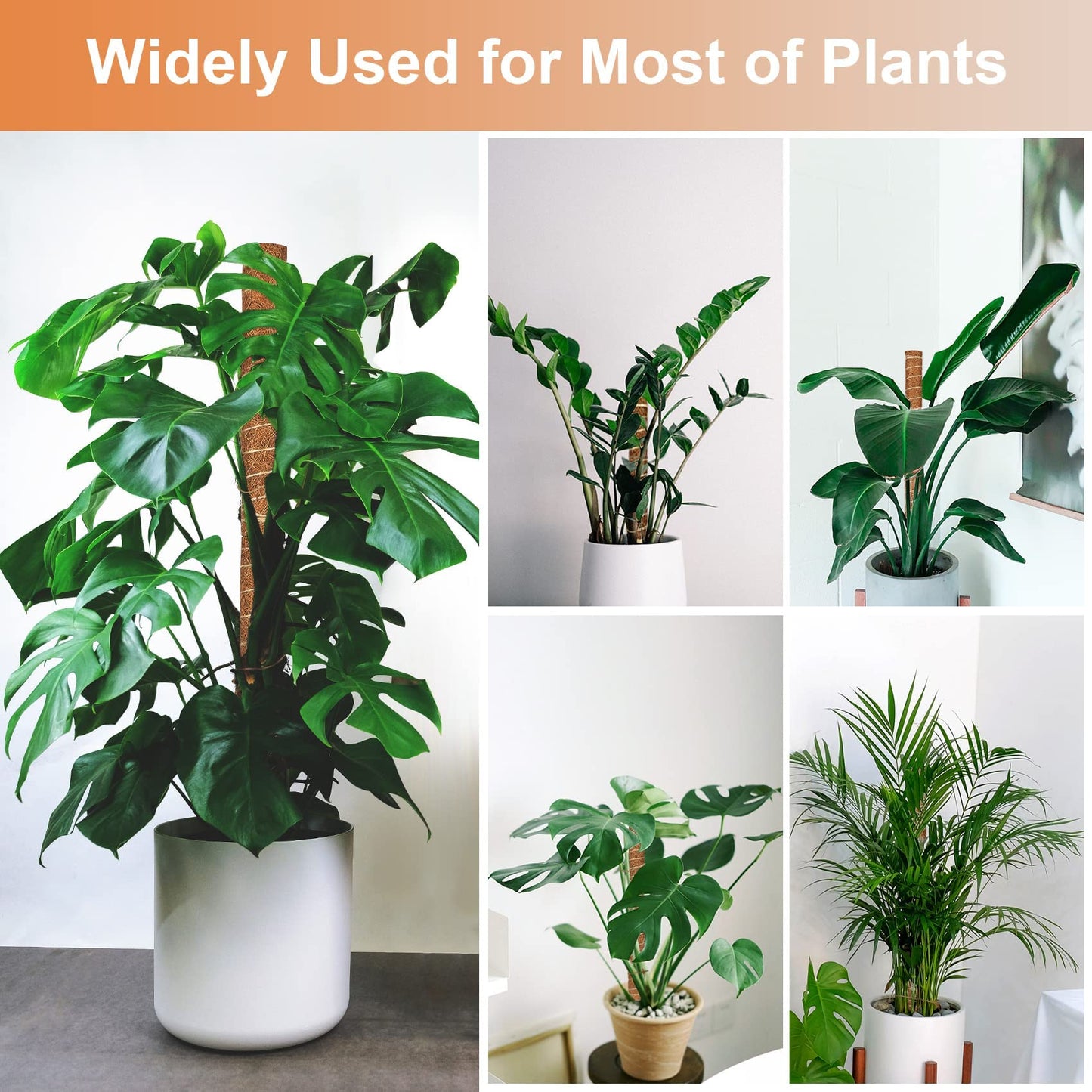 JJGoo Moss Pole for Plants Monstera,【8 Pack】 23.6 inch Plant Support Pole, Extendable Coir Totem Pole for Potted Plants Pothos, Train Indoor Climbing Plants to Grow Upwards