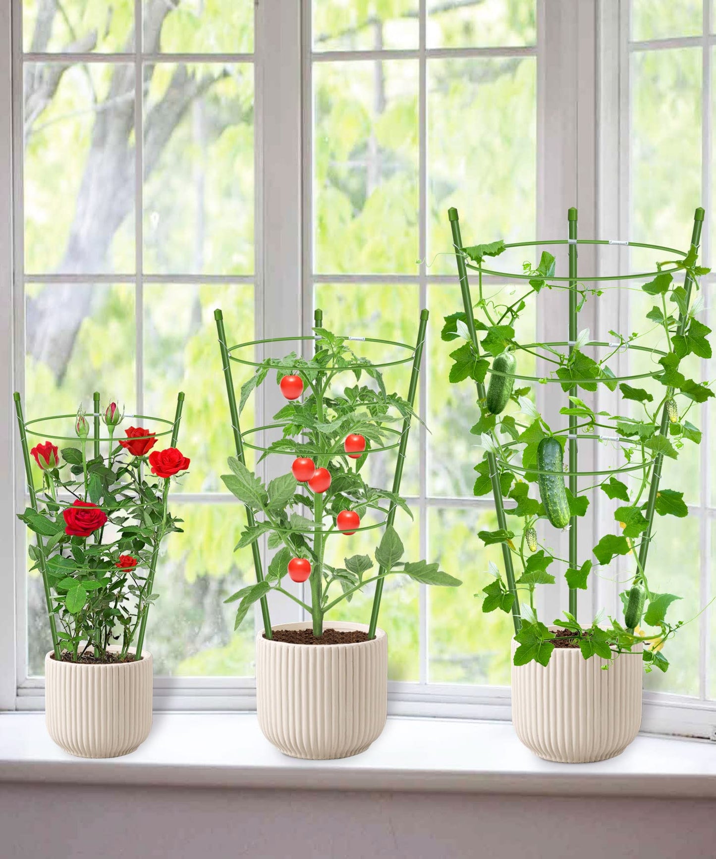4 Pack Garden Plant Support Tomato Cage, Upgrade 18" Trellis for Climbing Plants, Plant Trellis Kits (18")