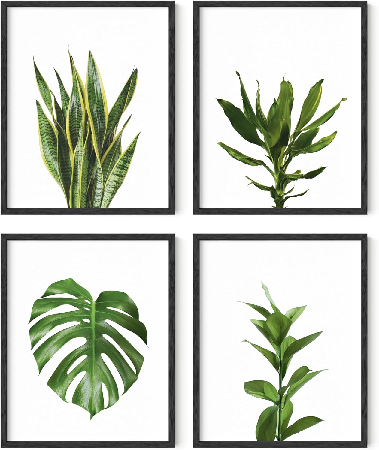 HAUS AND HUES Plant Wall Art - Set of 4 Botanical Prints, Sage Green Leaf Art, Minimalist Plant Pictures for Wall Decor (Unframed, 16x20)
