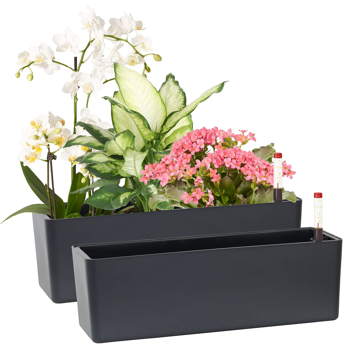 GardenBasix Elongated Self Watering Planter Pots 2-Pack Window Box 5.5 x 16 inch Indoor Home Garden Modern Decorative Pot for All House Plants Flowers Herbs (Dark Grey,2)