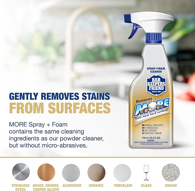 Bar Keepers Friend MORE Spray + Foam Multipurpose Cleaner (2 x 25.4 oz) & Dish Fish Dual Sponge for Bathroom, Kitchen & Outdoor Use on Stainless Steel, Aluminum, Brass, Tile, Ceramic, Porcelain & More