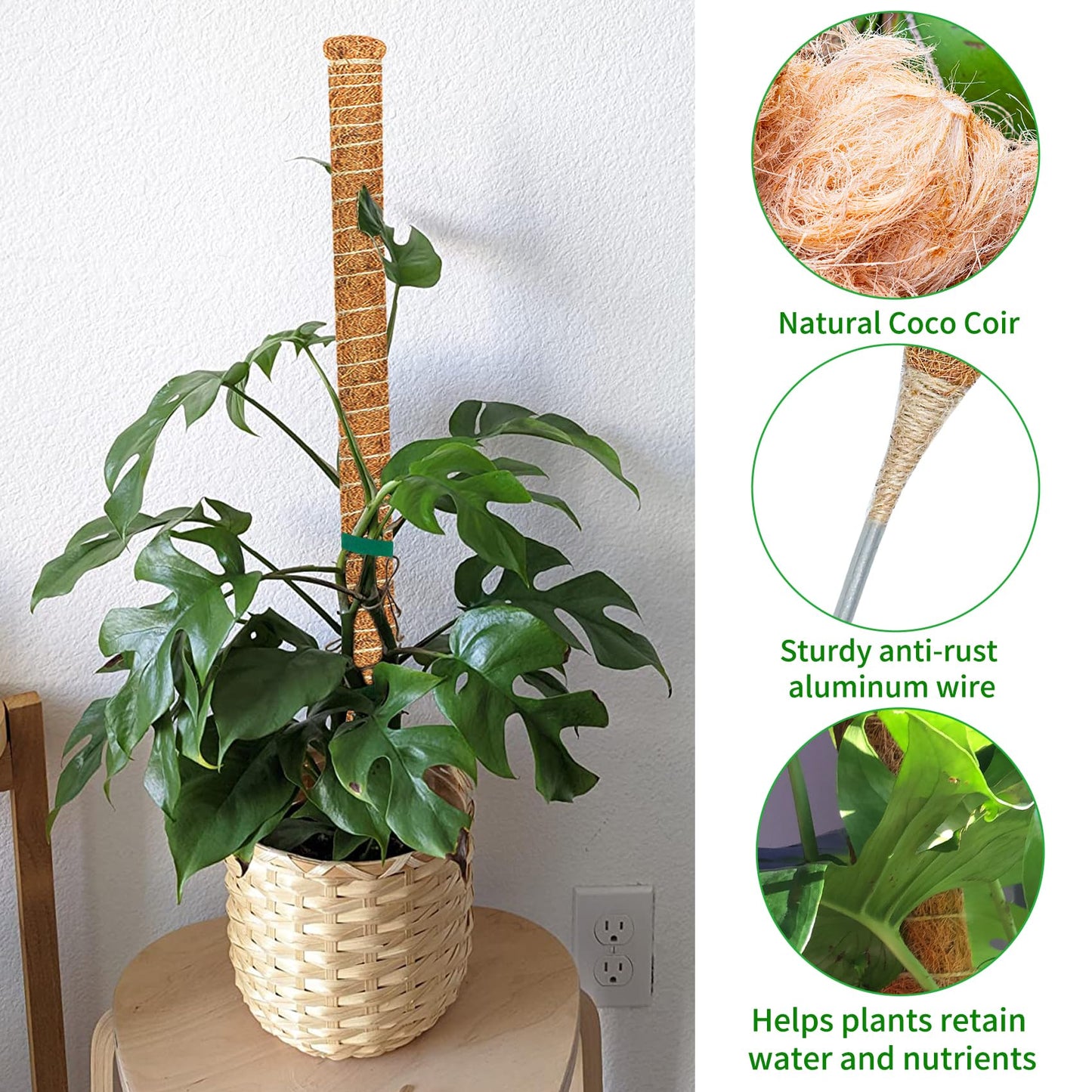 Dimpoo 2 Pack 39 Inch Moss Pole Monstera Plant Support, Coir Moss Poles for Climbing Indoor Plants, Bendable Plant Stake Trellis for Potted Plant, Pothos, Philodendron