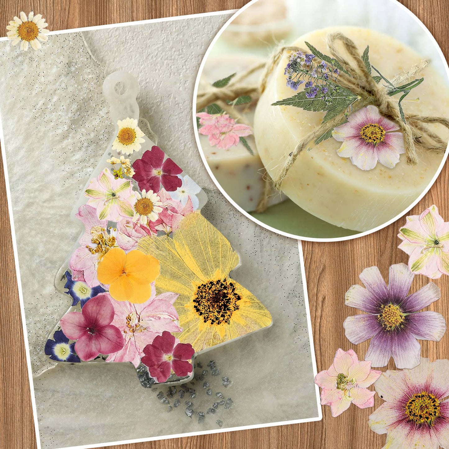 Nuanchu Dried Pressed Flowers for Crafts Resin Mother's Day Crafts Supplies Pressed Flowers Bulk Purple Dried Wildflowers Leave Natural with Tweezer DIY for Resin Mold Scrapbooking Nail Soap Making
