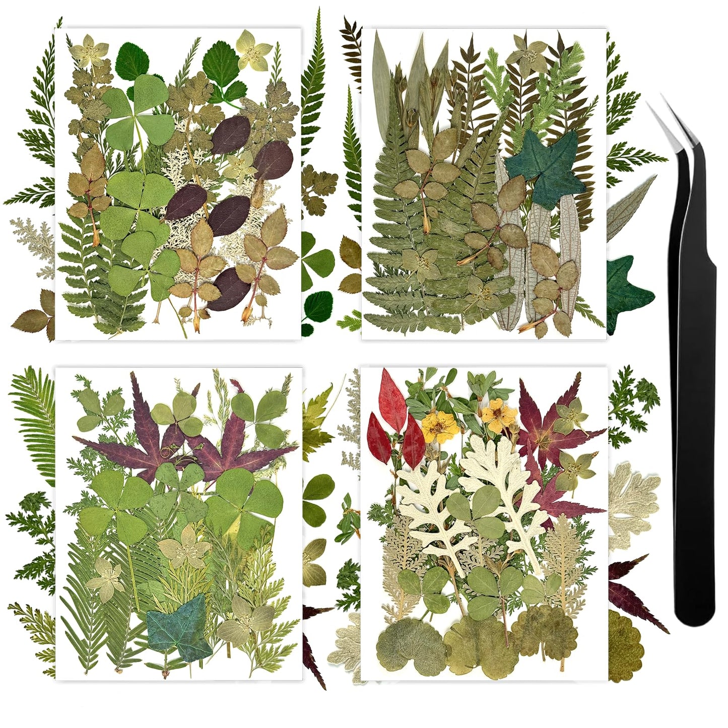110+ Pcs Dried Flowers Leaves for Crafts, Real Pressed Flowers Dry Leaves for Resin Scrapbooking DIY Art Crafts Epoxy Resin Jewelry Mold Candle Soap Making Nails Décor