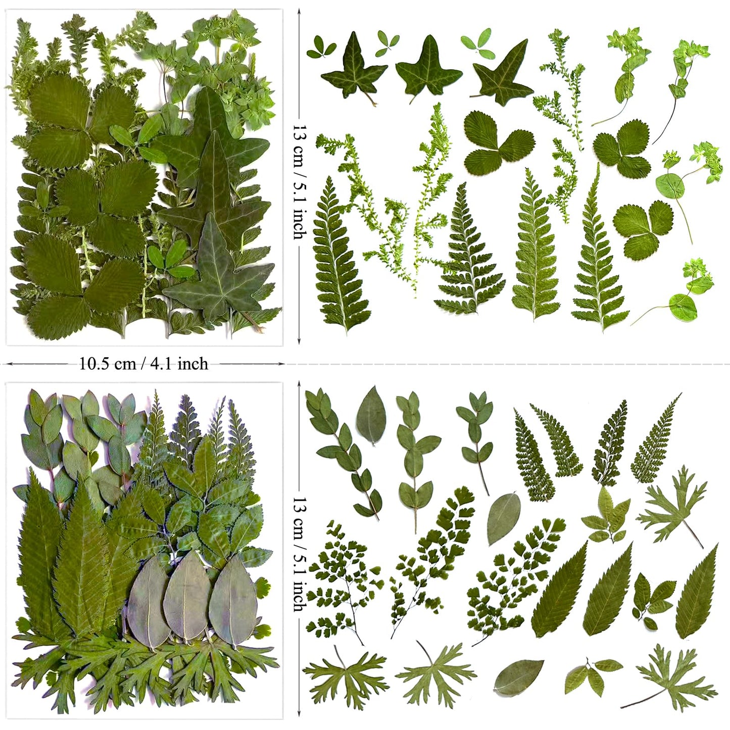 LUCISKY 136Pcs Pressed Dried Leaves and Butterfly for Resin Molds, Real Natural Flowers Stickers for DIY Art Crafts, Jewelry, Candle, Soap Crafts Making