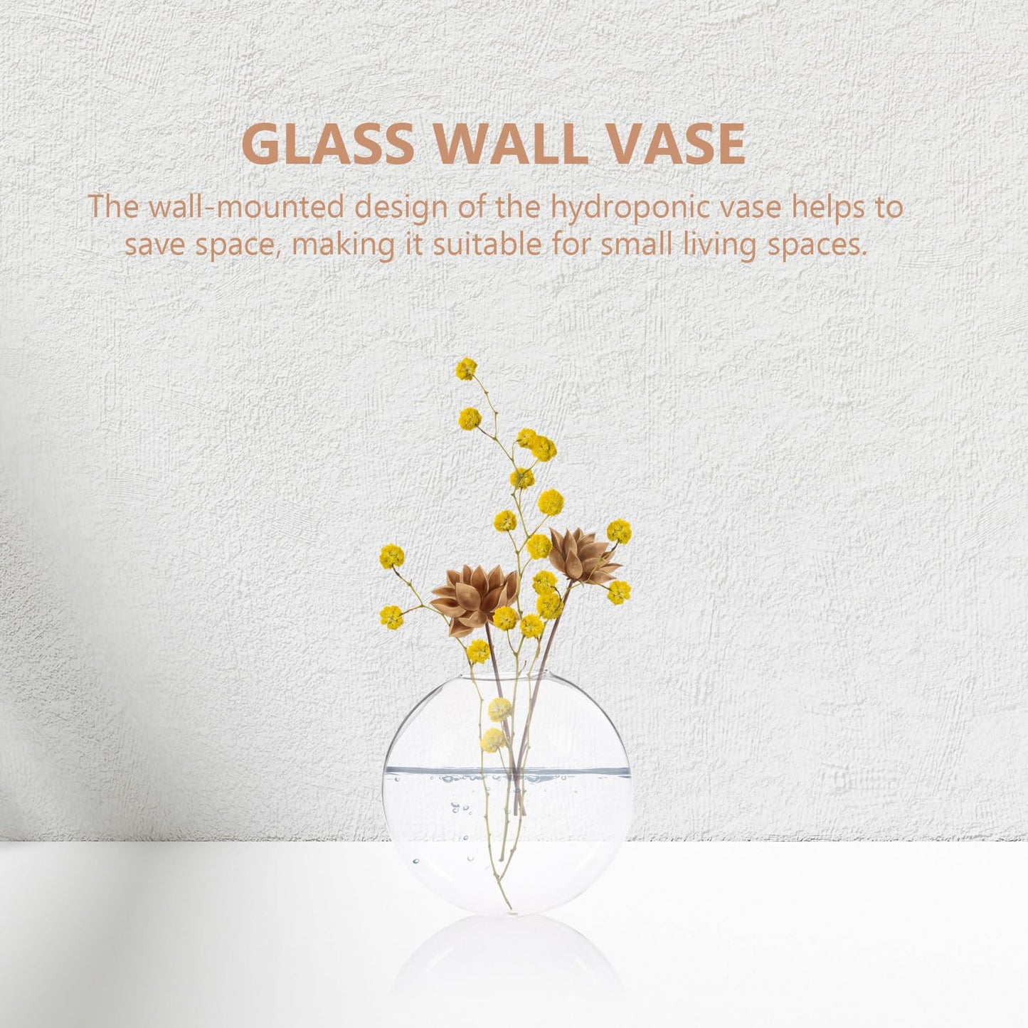 SUPVOX 2pcs Wall Mounted Glass Vase Hydroponic Planter Small Hanging Glass Terrarium Indoor Plant Holder for Home Office Décor
