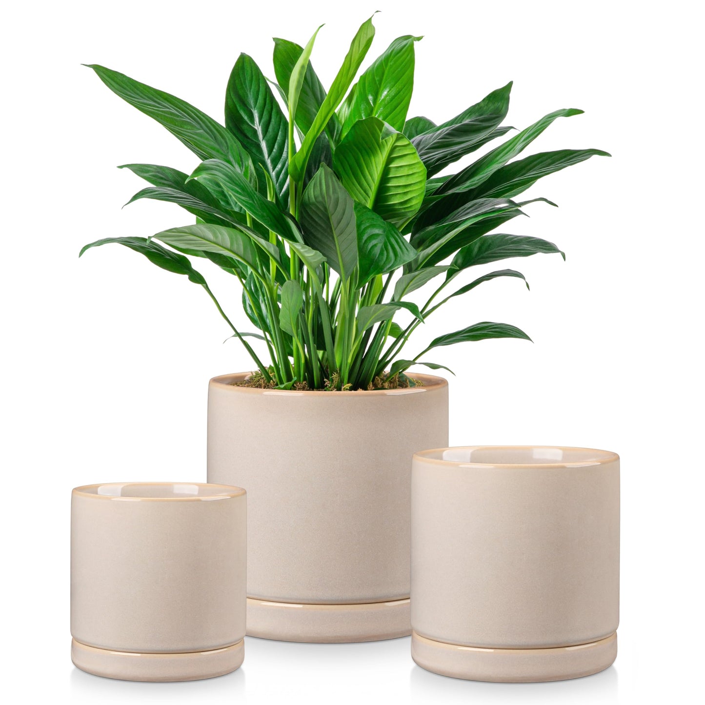 vancasso Ceramic Plant Pots, 3 Piece Planters for Indoor Plants, 4.25+5.25+6.25 Inch Flower Pots with Drainage, Plant Pots Indoor for Succulent, Pothos, Snake Plant and Money Tree, Etc (Gray)
