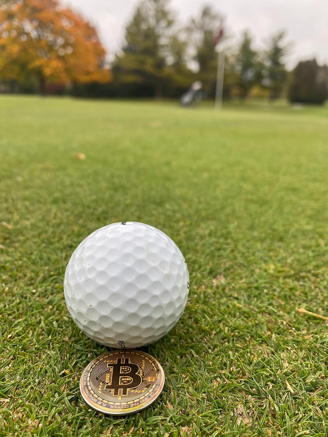 Bitcoin Golf Ball Markers Value Pack - Works with Most Hat Magnetic Clips and Divot Repair Tools Men and Women Golf Gift Accessories Funny Ball Mark Bulk Lot