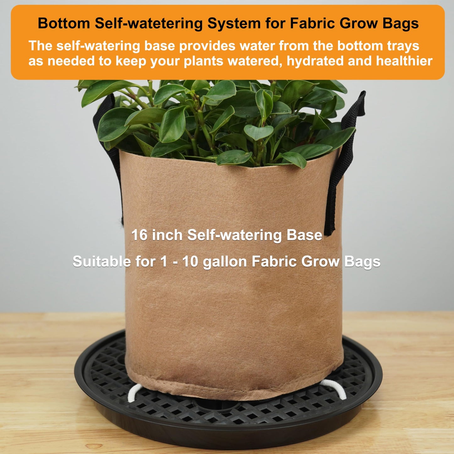 6 Pack 16 inch Self Watering Base for Fabric Grow Bag, Self-watering Plastic Elevated Plant Saucer Stand, Automatic Watering Tray for Non-woven Planter Flower Pot Growth Tent Greenhouse Indoor Outdoor