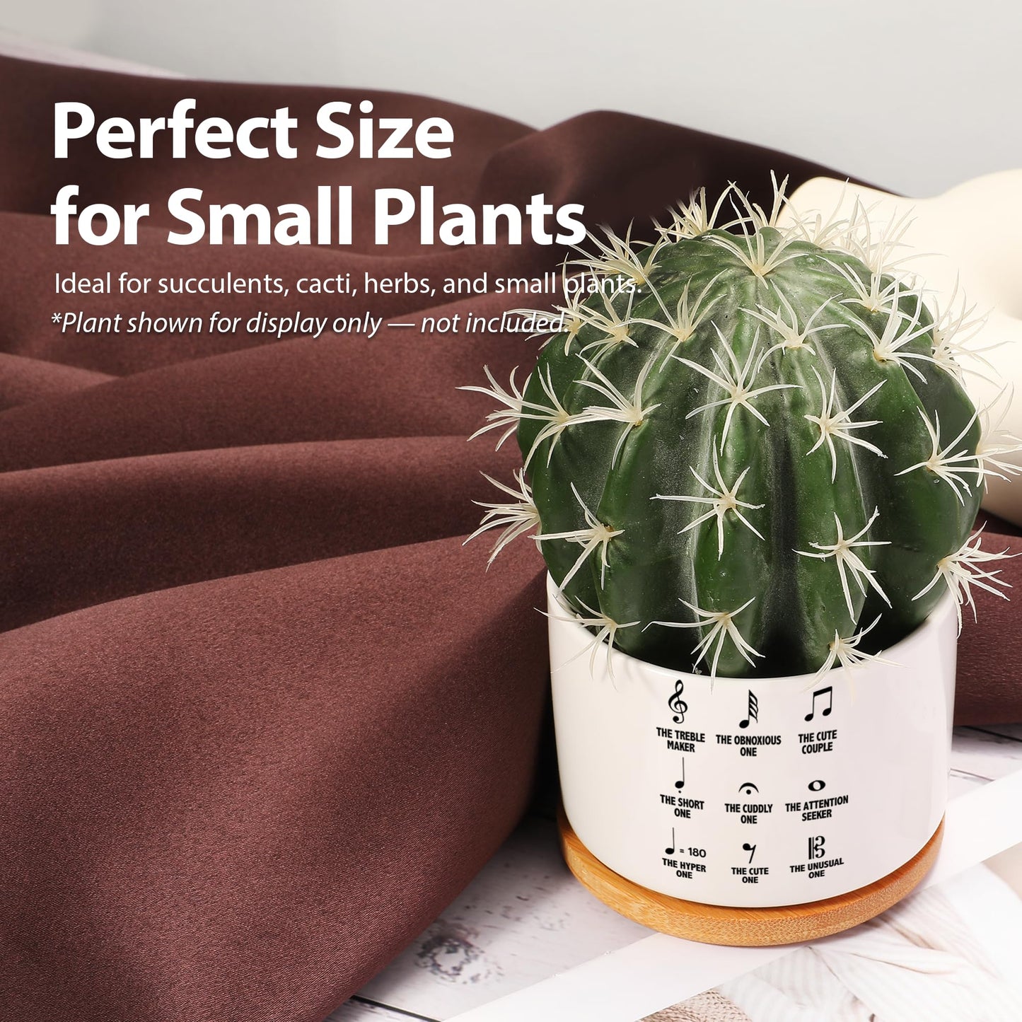 Loovelo Musical Notes Symbol Definition Musicians Gifts Music Teacher Gifts Pianist Choir Director Ceramic Succulent Plant Pot with Bamboo Tray Round Plant Lover Home Decor 3.5 Inch White (No Plants)