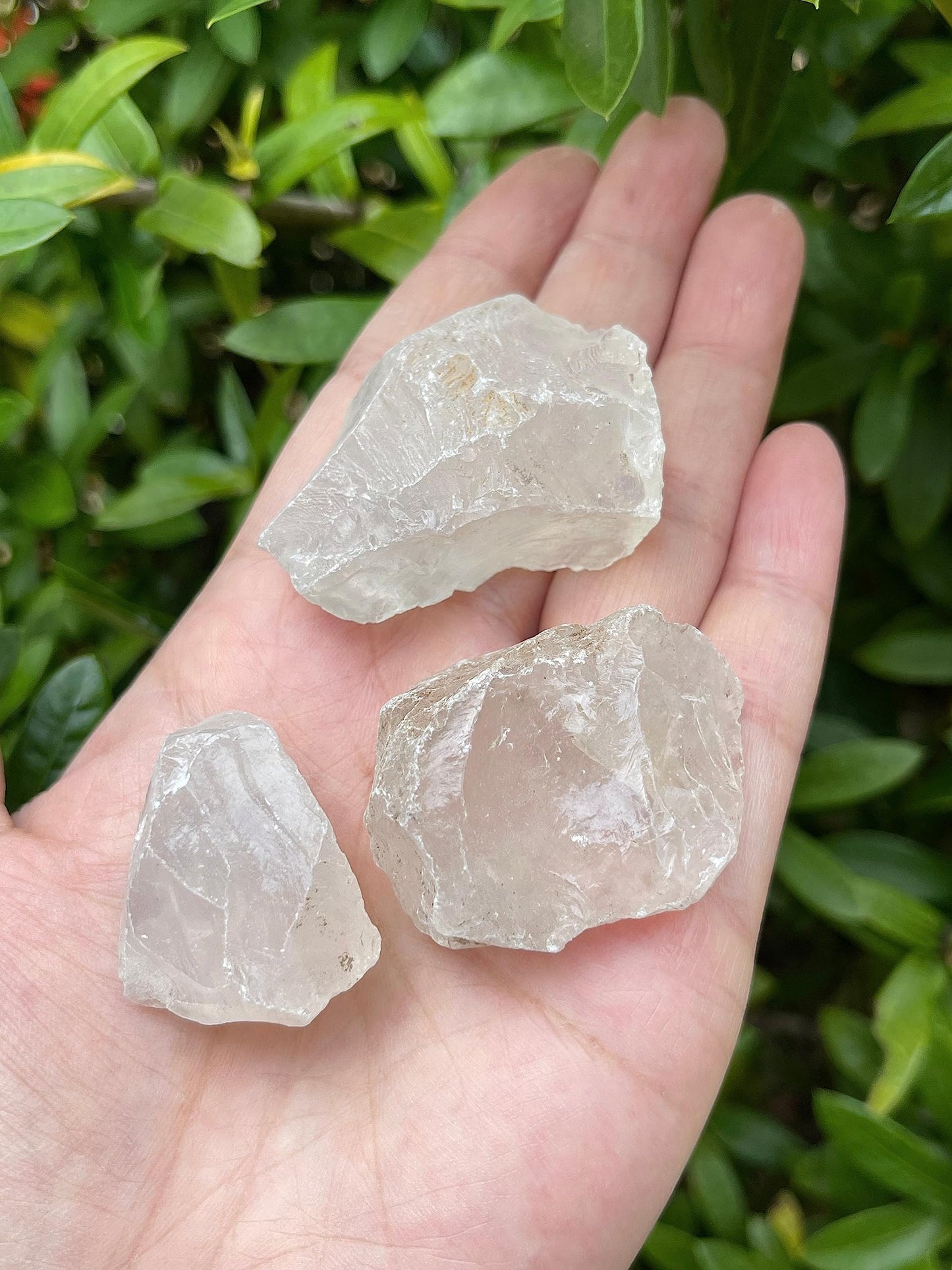 GAF TREASURES Wholesale Raw Clear Quartz Crystals, Natural Clear Quartz Stone, Natural Rough Clear Quartz Crystals, Clear Quartz Rough, Clear Quartz Healing Crystals (Clear Quartz, 0.25 Pound)